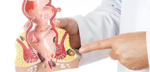 Person walking in a park on a sunny morning